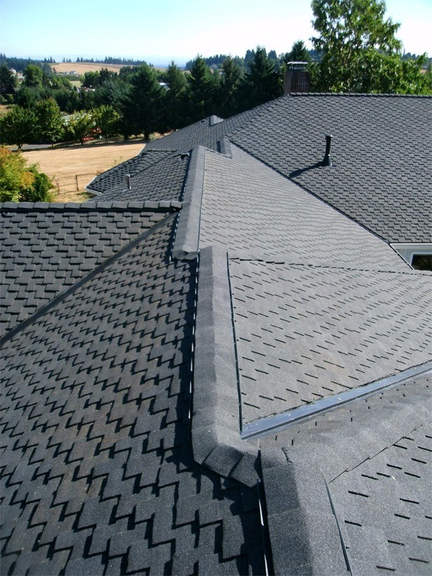 Roof Replacement services