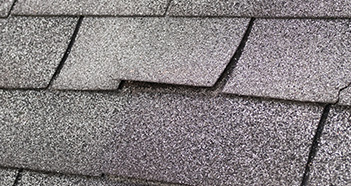 Stay Off the Roof