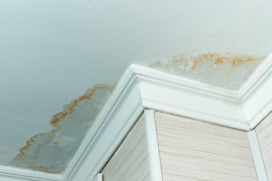 Ceiling shows signs of a roof leak in ID