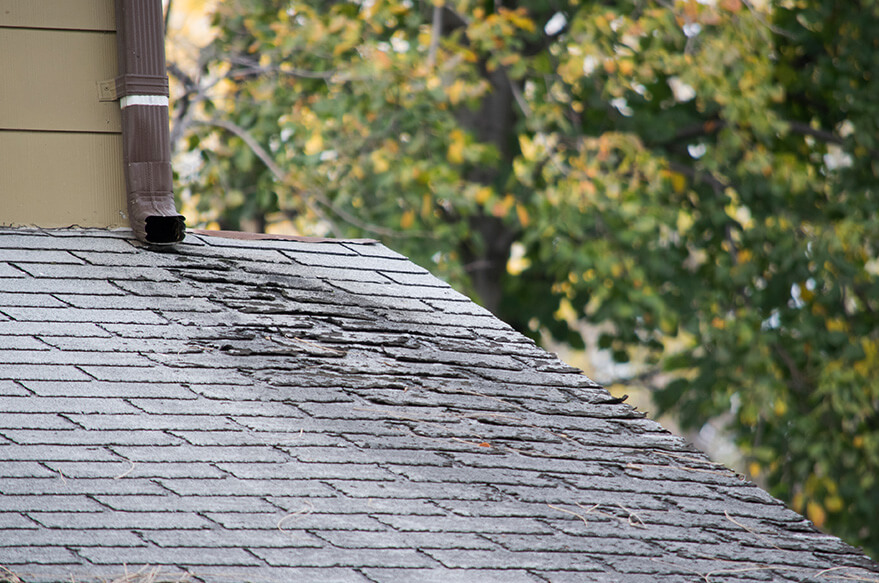 Roof damage from a leak in Idaho